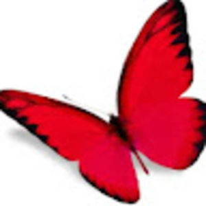 Meet your Posher, Lesley